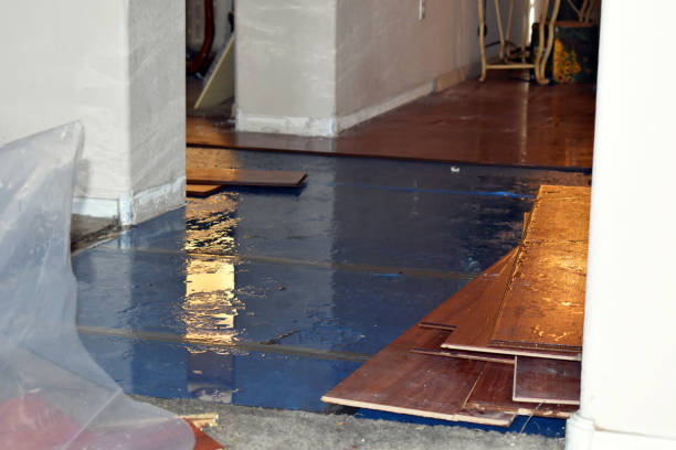 Professional Burst Pipe Cleanup technician working in Slidell, TX